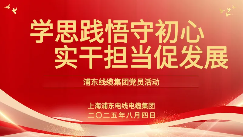 黨員活動(dòng) | 浦東線(xiàn)纜集團(tuán)：學(xué)思踐悟守初心，實(shí)干擔(dān)當(dāng)促發(fā)展